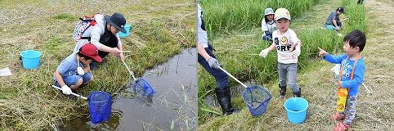 在拉姆萨公约登记湿地开展生物多样性活动（保护原生动植物、自然观察会）