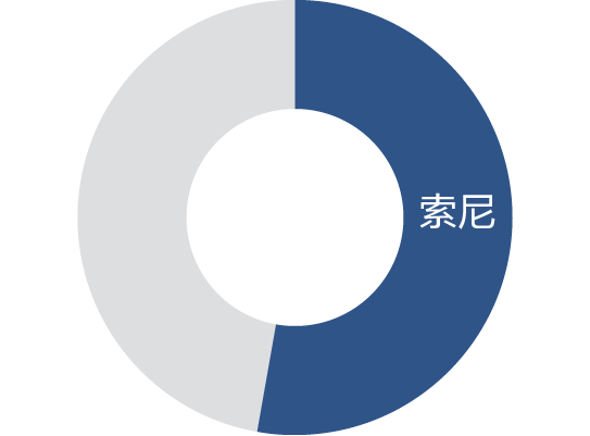 它表明，成像应用的全球市场份额（销售额）约为 53%。