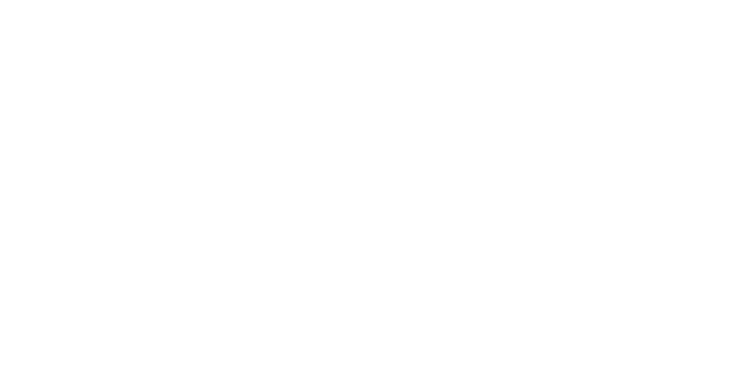 液晶微型显示器用高亮度化技术