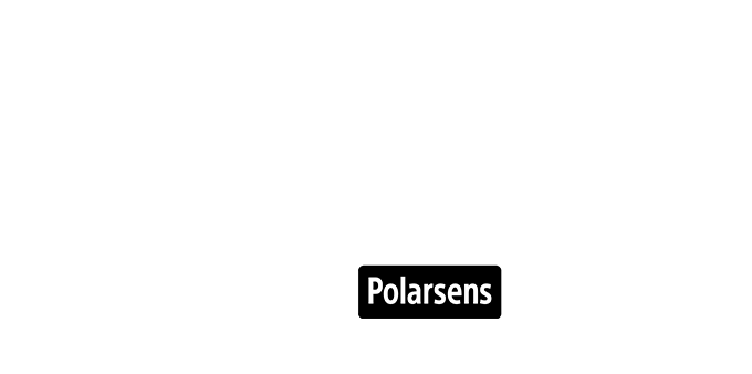 偏光图像传感器技术 Polarsens™